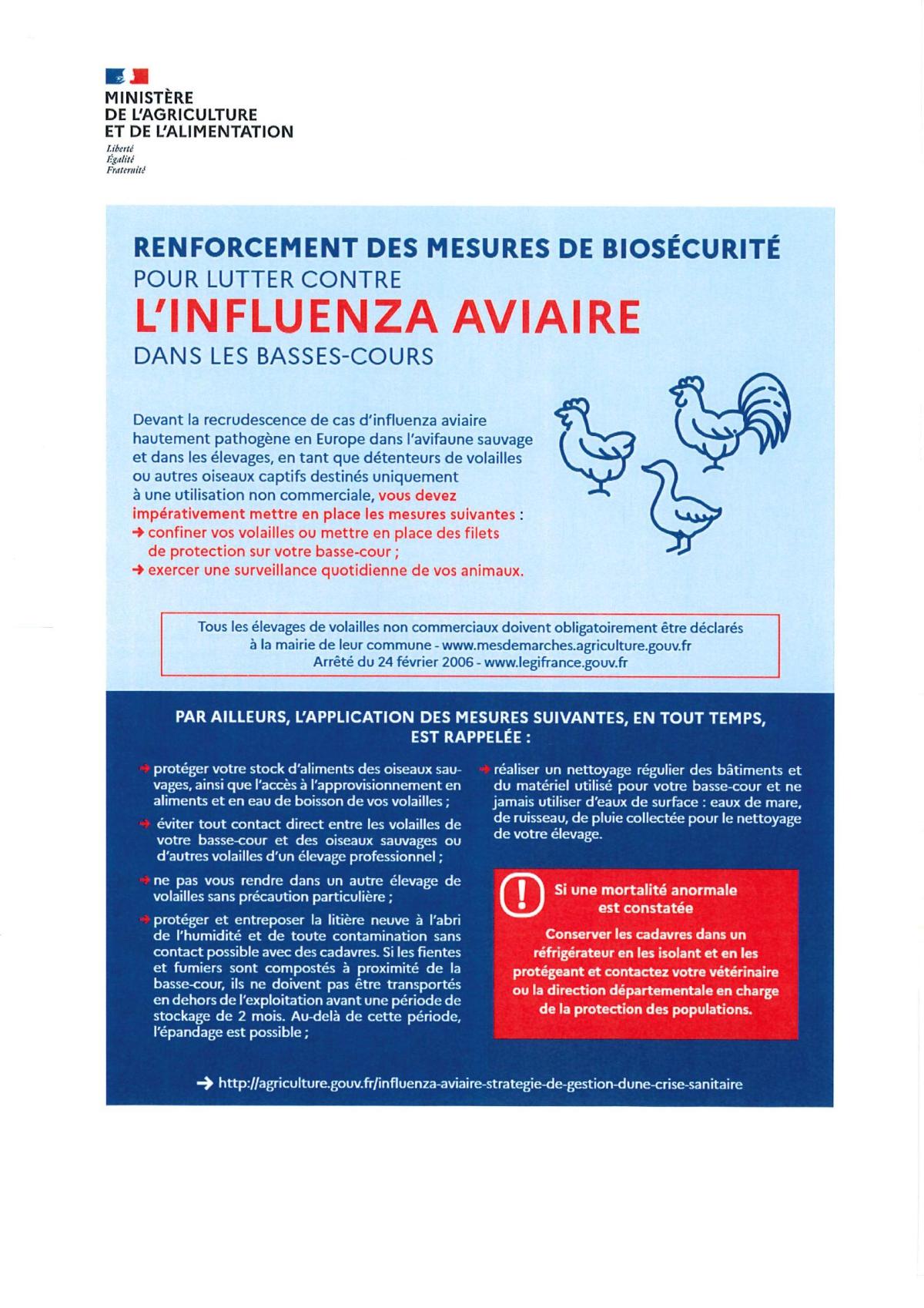 Flyer influenza aviaire
